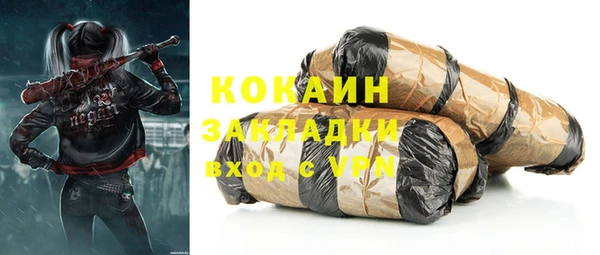 индика Белокуриха