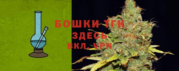 индика Белокуриха
