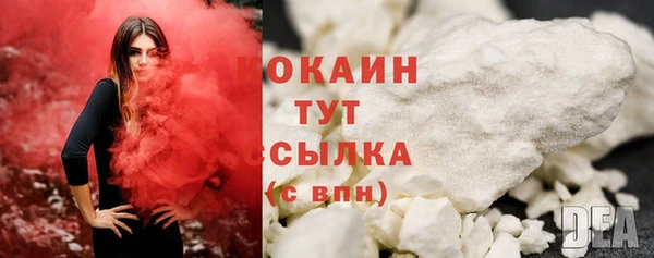 индика Белокуриха