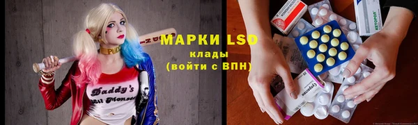 индика Белокуриха