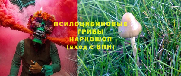 индика Белокуриха