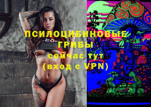индика Белокуриха
