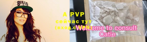 индика Белокуриха