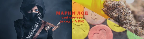 индика Белокуриха