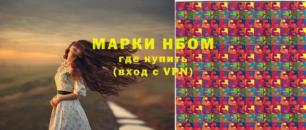 индика Белокуриха